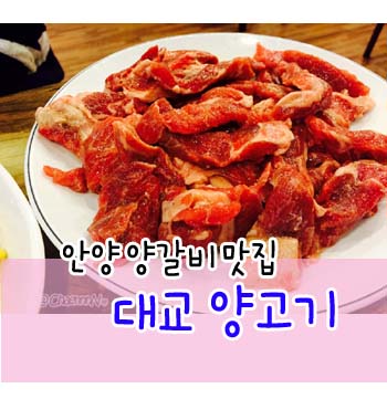 대교양고기 이미지