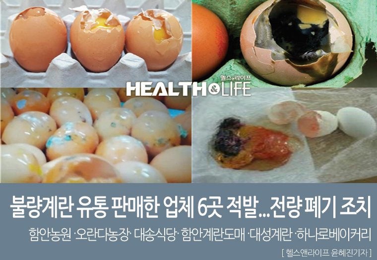 대송유통 이미지
