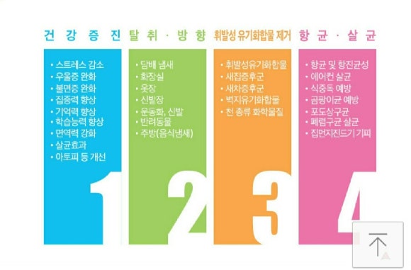 디자인지드 이미지