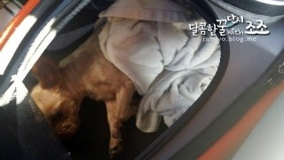 굿프랜드 이미지