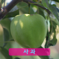 키즈팜스튜디오 이미지
