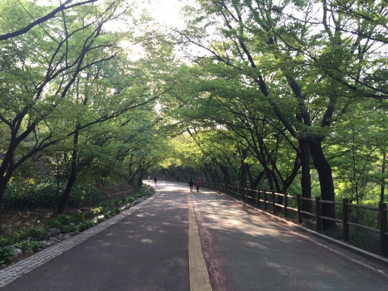 아베크(AVEC) 이미지