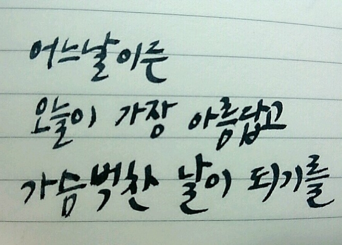 유도리야 이미지