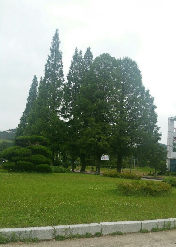 디자인지드 이미지
