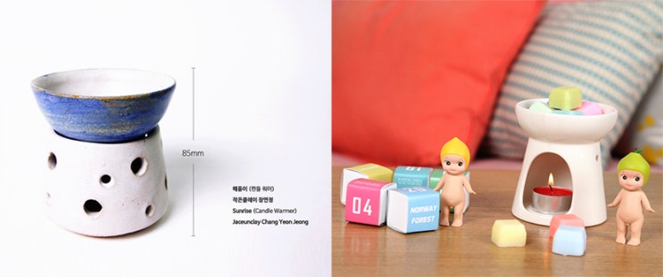 비틀에코 이미지