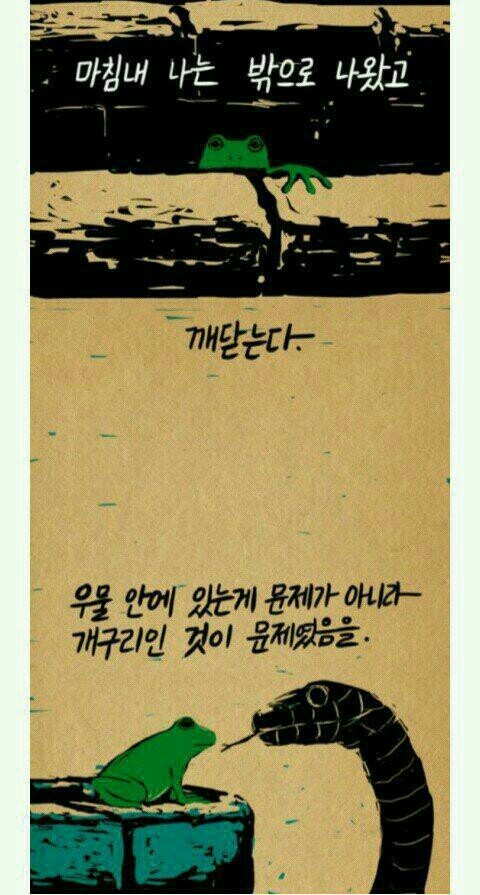 우물밖개구리 이미지