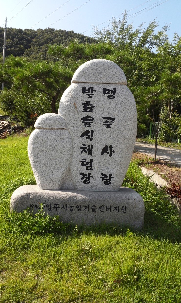 맹골사랑 이미지