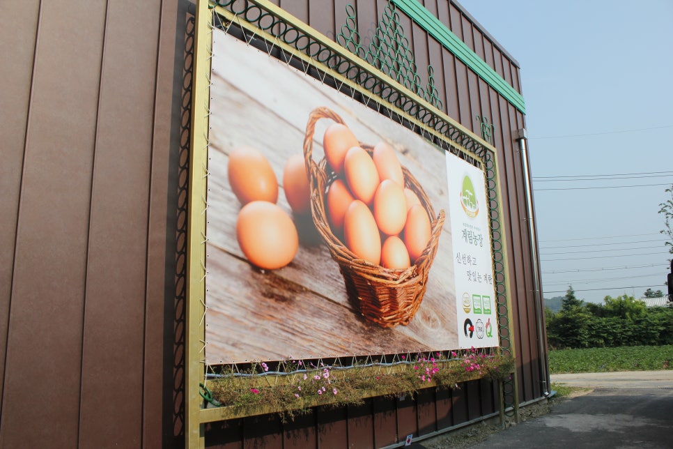 계림축산 이미지