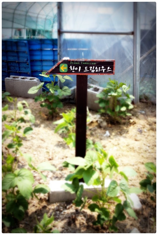 환이아트 이미지