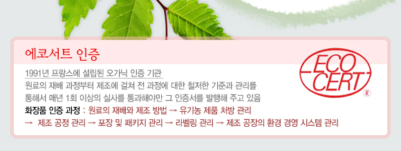 써트 이미지