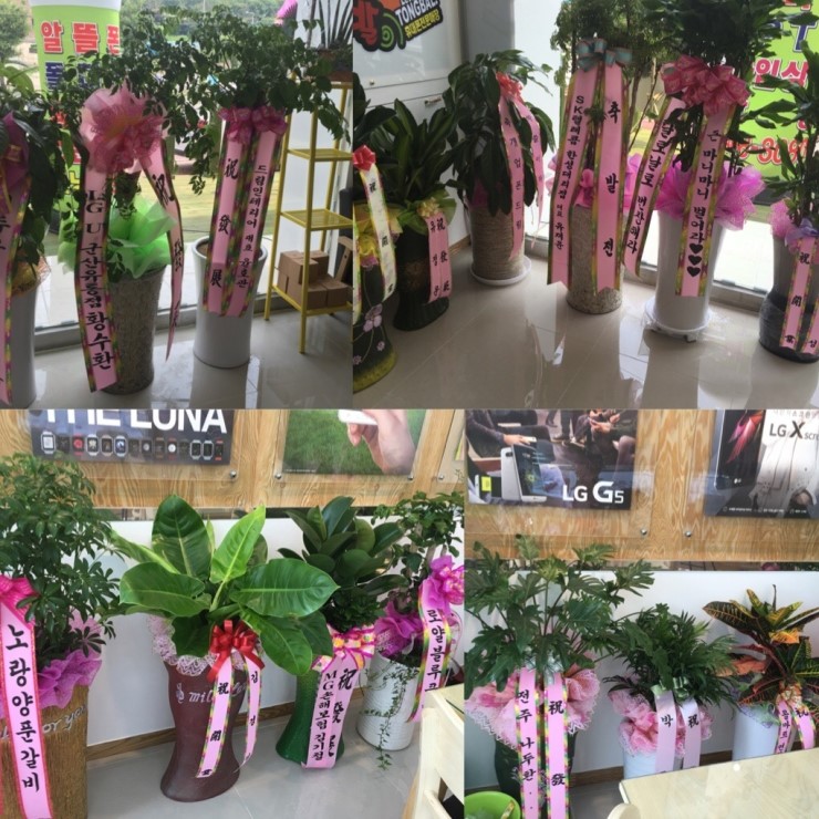 통신발전소소룡점 이미지