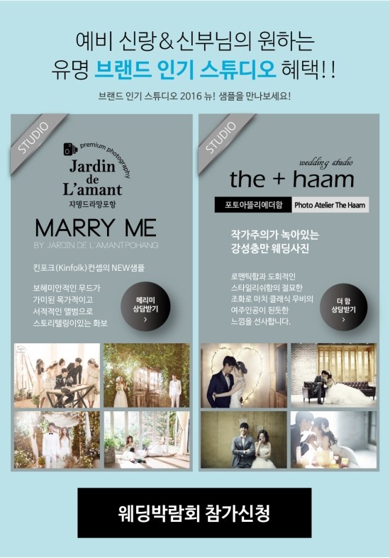 비타민여행사 이미지