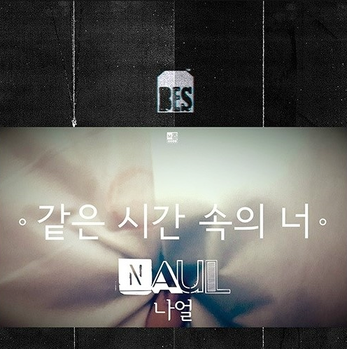 디옥타브 이미지