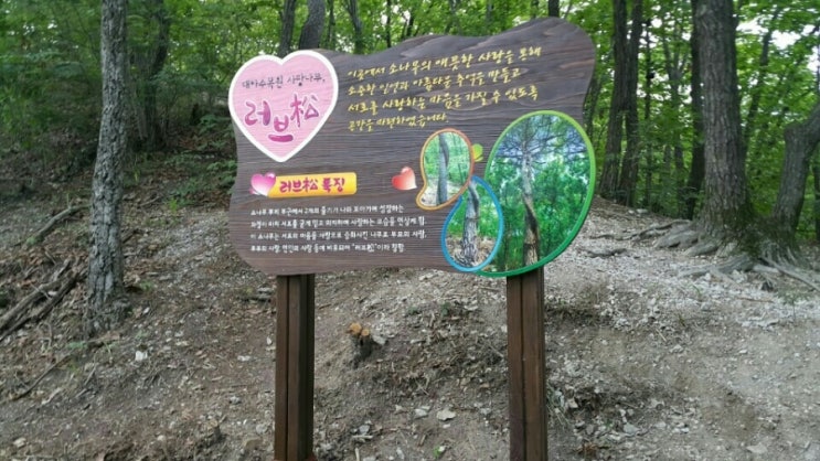 예원조경 이미지