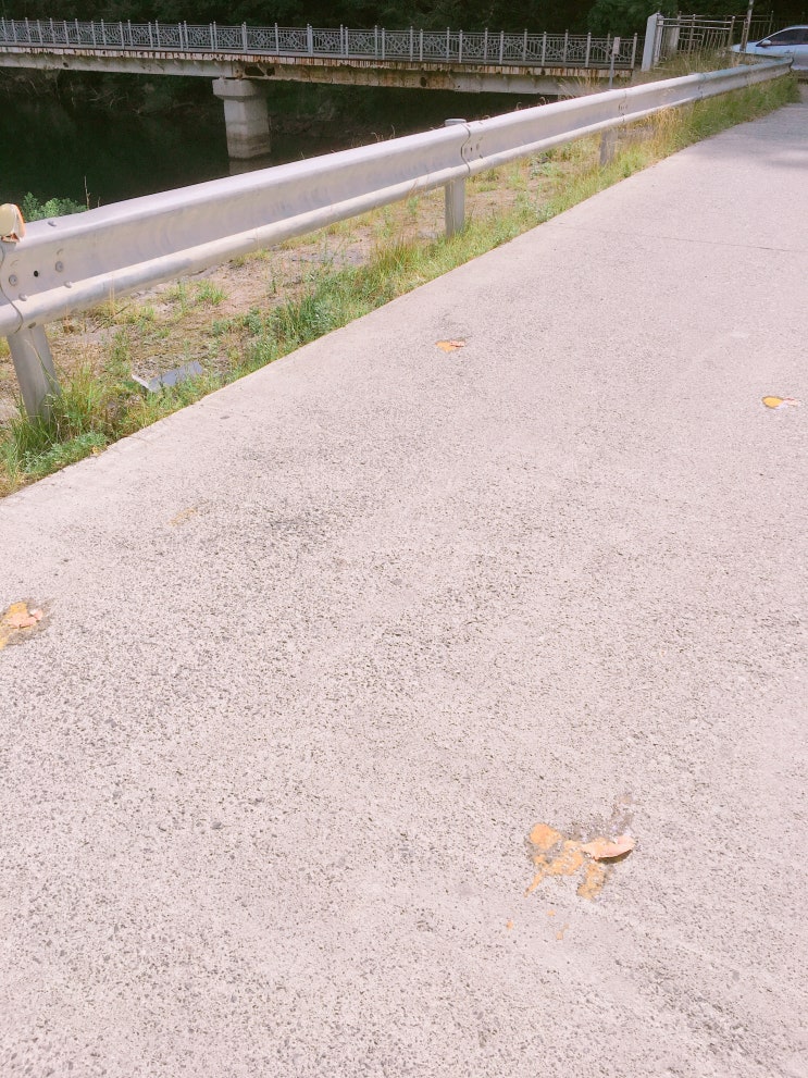 경블리 이미지