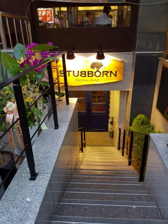 스터번(STUBBORN) 이미지