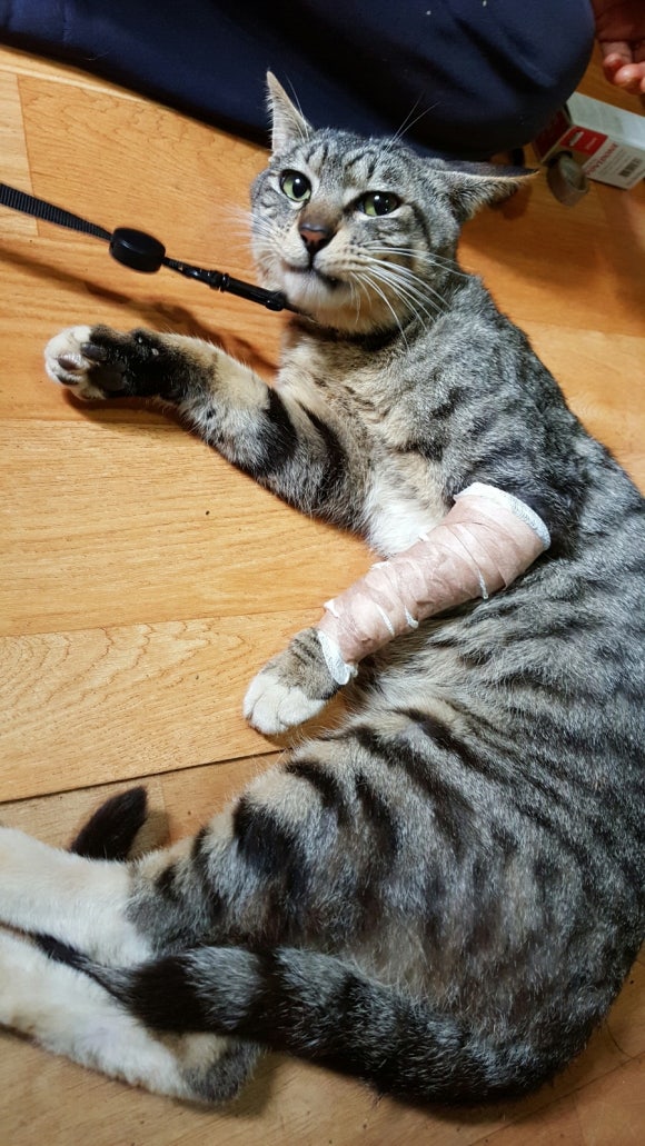 삼화상회 이미지