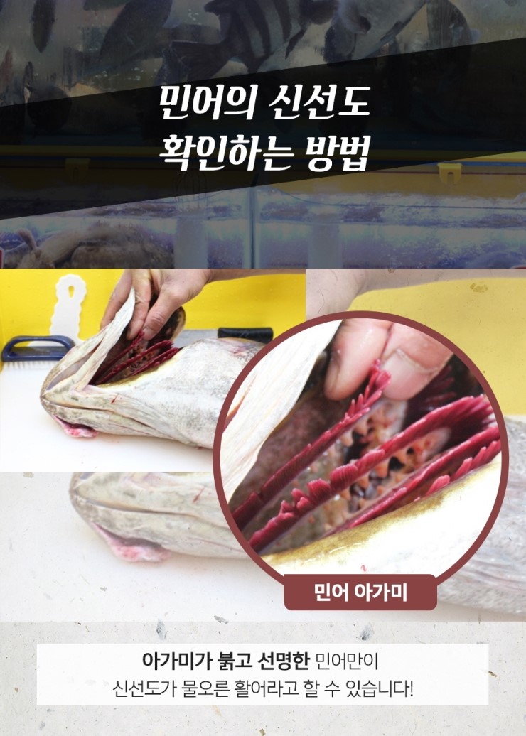 민어나라 이미지