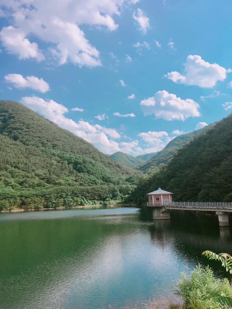 경블리 이미지