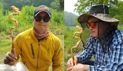 천마자연식품 이미지