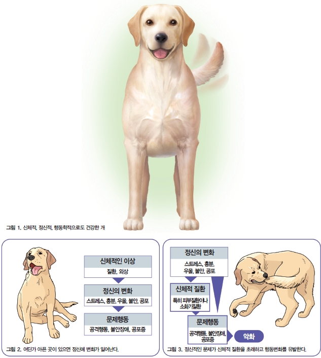 (주)에이알씨 이미지