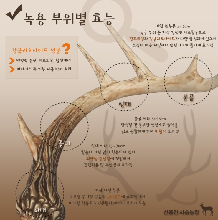 건강딱농장 이미지