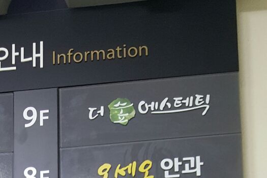 더숲 에스테틱 이미지