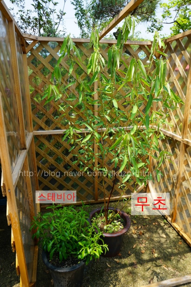 삼강식물원 이미지