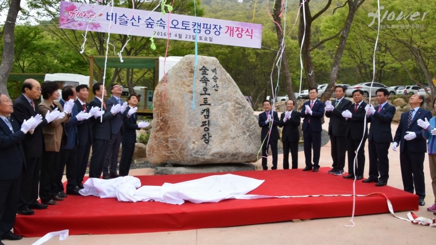 비슬산 숲속 오토캠핑장 이미지