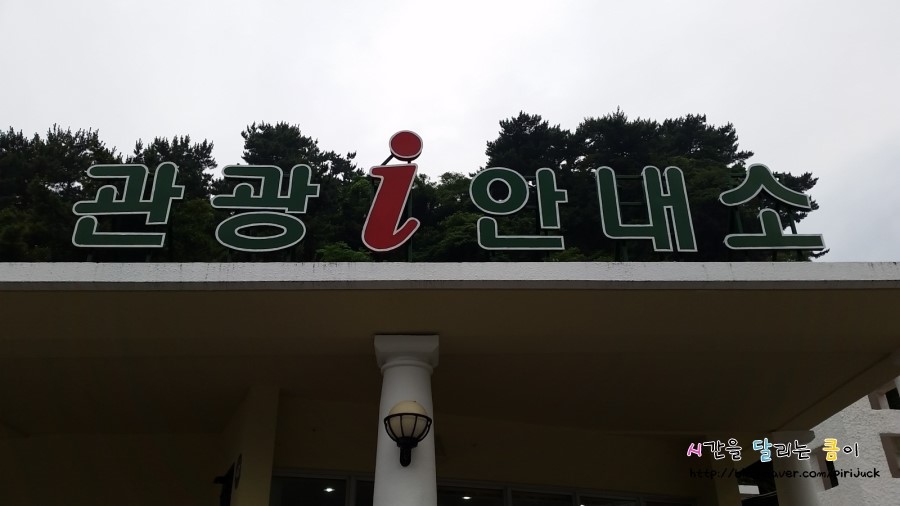 먹돌새기 이미지