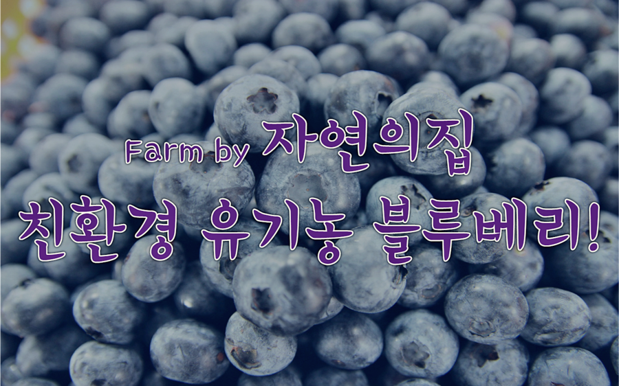 자연의집 이미지
