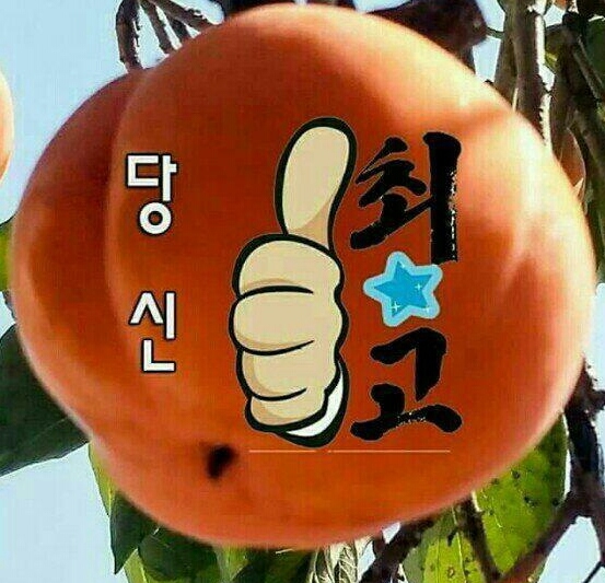 일등인력개발직업소개소 이미지