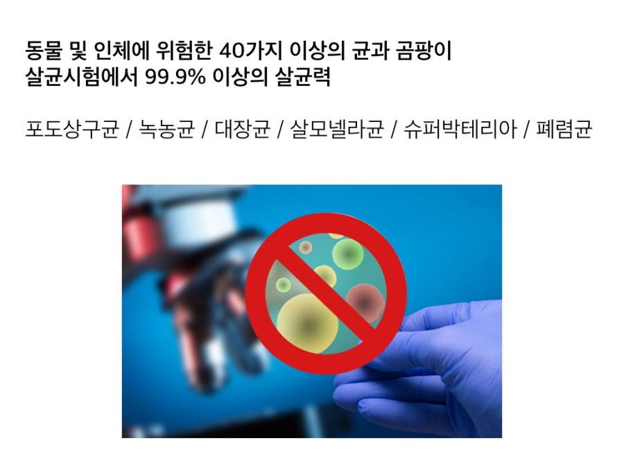 클린오토 이미지