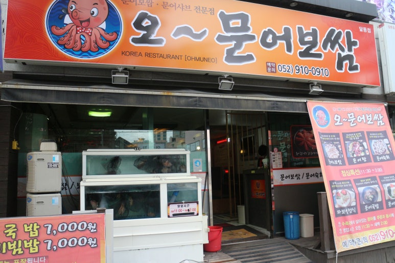 오문어 이미지