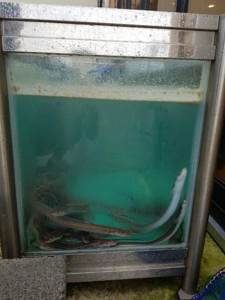 기룡정장어구이 이미지