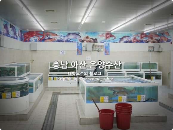 온양수산 이미지