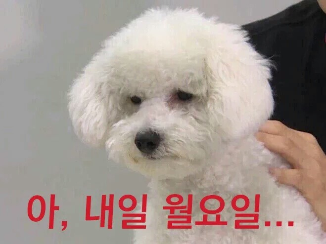 지금 이미지