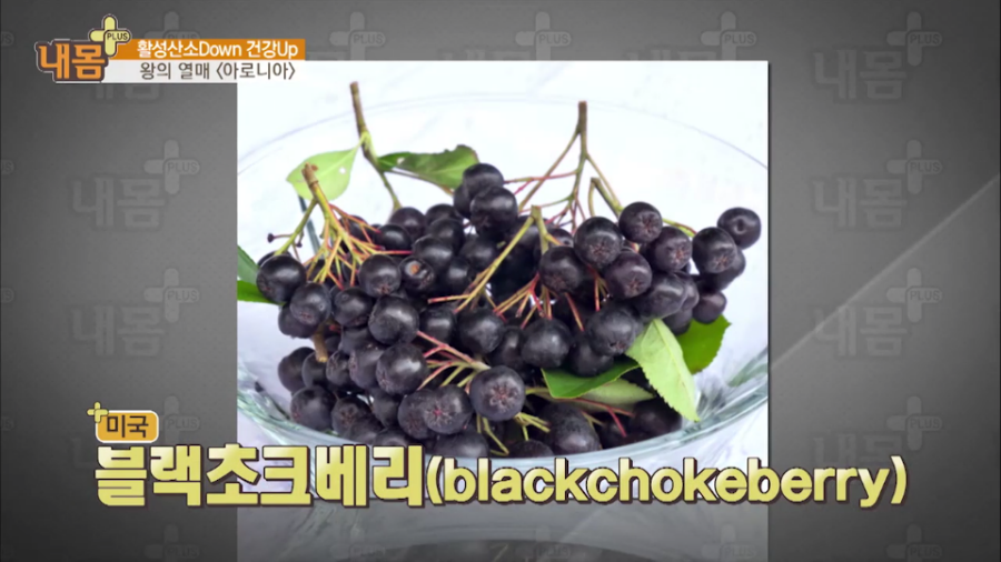 진단플러스 이미지