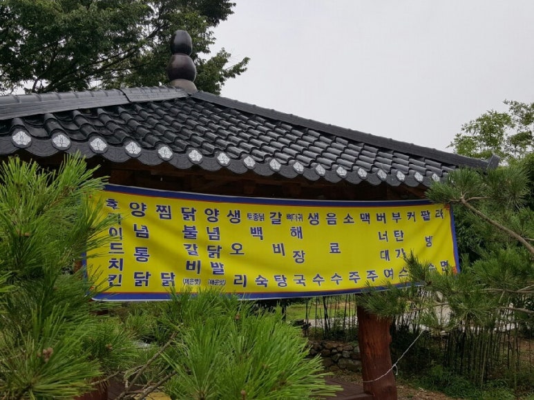 코끼리 관광농원 이미지