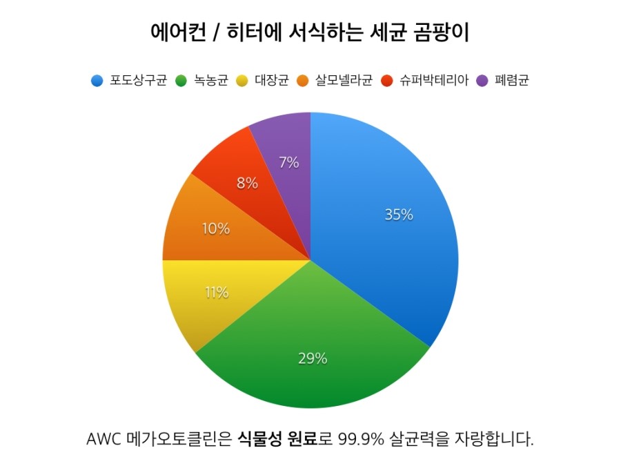 클린오토 이미지