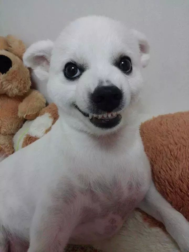 줄라이 이미지