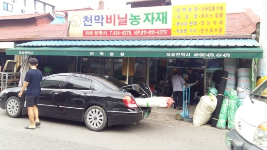 자유천막사 이미지