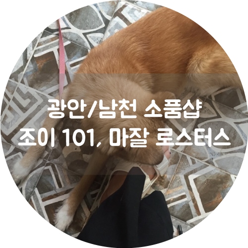샵101 이미지