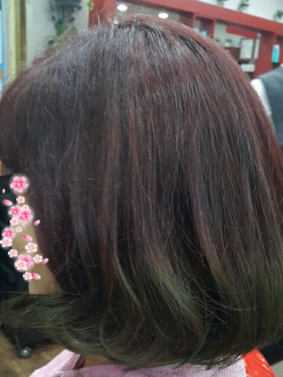 칼라헤어샾 이미지