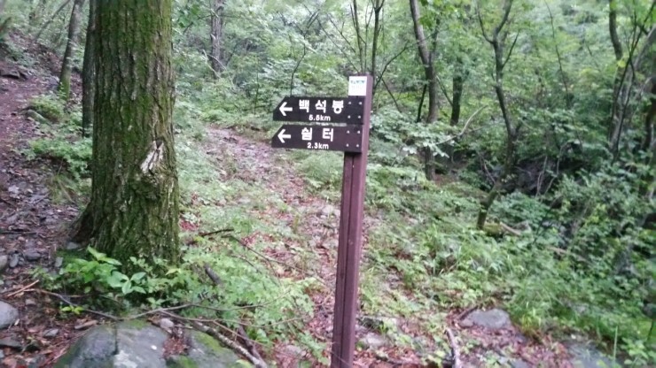 정선PC 이미지