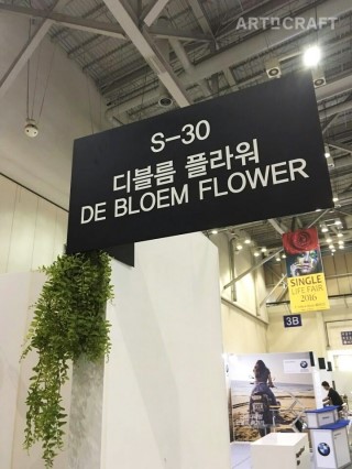 디블름 이미지