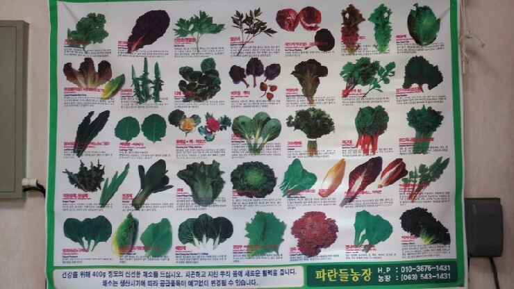 수미원 이미지
