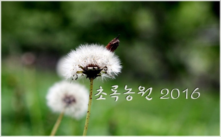 초록농원 이미지