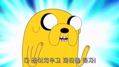 샛별투어 이미지