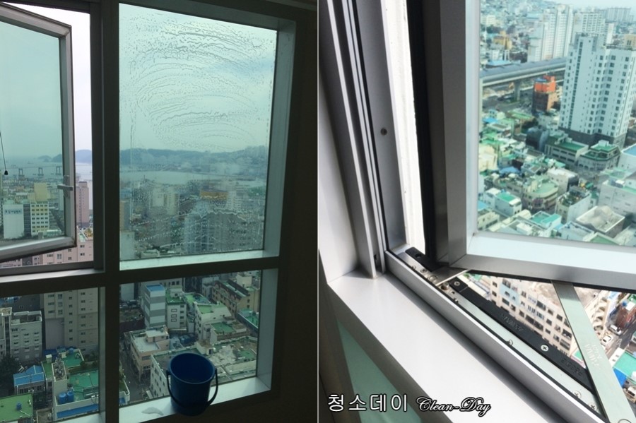 엄지청소 이미지